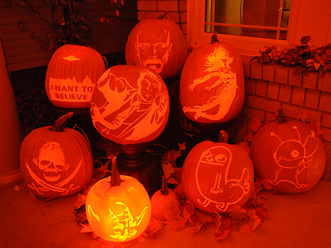 2019 Pumpkins